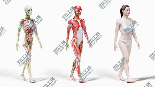 images/goods_img/20210312/3D Full Female Anatomy Rigged/5.jpg